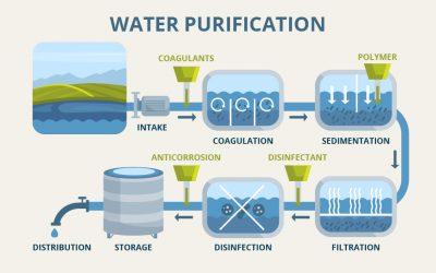 Membrane Filtration Process in Water Treatment